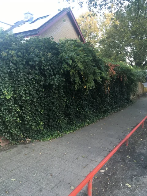 Tuinproject van Hovenier Klavertje 4: aanleg en bestrating