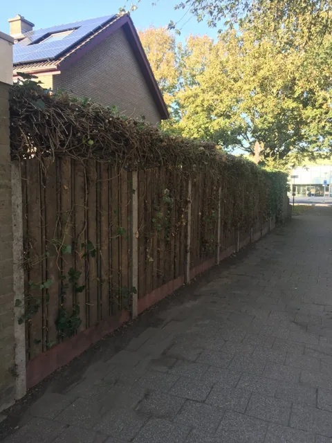 Tuinproject van Hovenier Klavertje 4: aanleg en bestrating